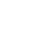 Item 1